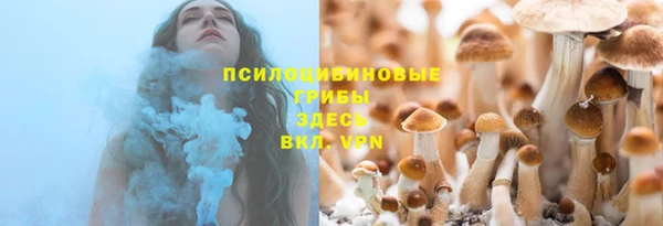 прущий лед Алексин