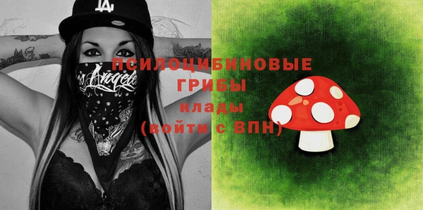 ПСИЛОЦИБИНОВЫЕ ГРИБЫ Алзамай