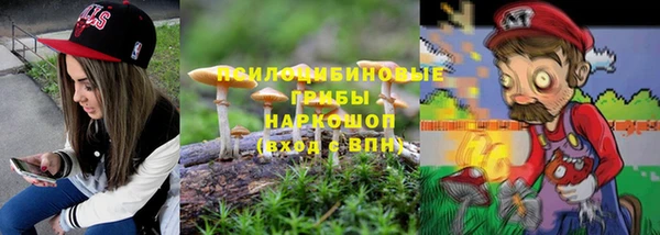 ПСИЛОЦИБИНОВЫЕ ГРИБЫ Алзамай